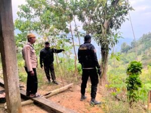Polisi Datang, Arena Sabung Ayam Mendadak Sepi: Bulo Enrekang Tak Lagi Jadi Tempat Taruhan