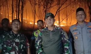 Dandim Sidrap Turun ke Bukit, Api Karhutla Mattirotasi Dilawan Bersama Warga hingga Malam