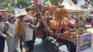 Sidrap Bikin Jalanan Meriah, Traktor Berubah Jadi Kendaraan Karnaval