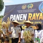 Berita terkait
