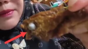 Benda Diduga Peluru Ditemukan dalam Daging Menu MBG, Dapur SPPG Disetop Sementara