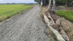Talud Rp58 Juta di Sidrap Ini Bikin Orang Bertanya: Fondasinya di Mana?