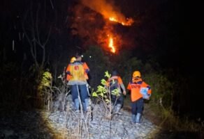 Kemarau Memuncak, Bupati Enrekang Keluarkan Instruksi Khusus: Warga Dilarang Bakar Lahan Sembarangan