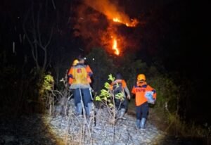 Kemarau Memuncak, Bupati Enrekang Keluarkan Instruksi Khusus: Warga Dilarang Bakar Lahan Sembarangan