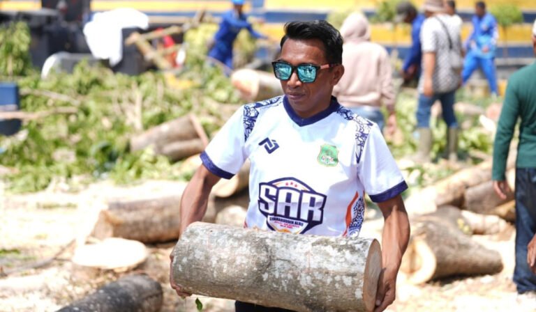 Berkacamata Hitam, Syahar Angkat Kayu Gelondongan di Mogan Sidrap