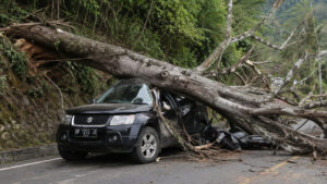 Vitara dan Vario Jadi Korban Pohon Tumbang di Jalur Enrekang–Toraja