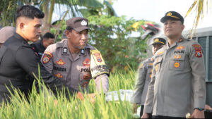 Polisi Ciptakan “Hujan Buatan” di Sidrap, Petani Yang Nyaris Putus Asa Kembali Tersenyum Bahagia