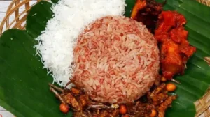 Mengapa Pulu Mandoti Hanya Tumbuh di Enrekang?