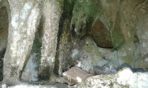 Leang Kassi di Pangkep, Gua dengan Jejak Tangan dari Masa Prasejarah