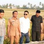 Berita terkait