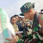 Berita terkait