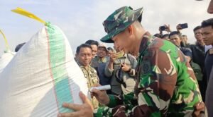 Datang ke Sidrap untuk Panen, Pangdivif Kostrad Malah Bilang: “Pindahkan Markas Saya ke Sini