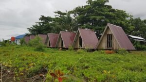 Bola Pitue Barru: Tujuh Rumah Panggung yang Menjadi Jejak Budaya Bugis di Pesisir Padongko