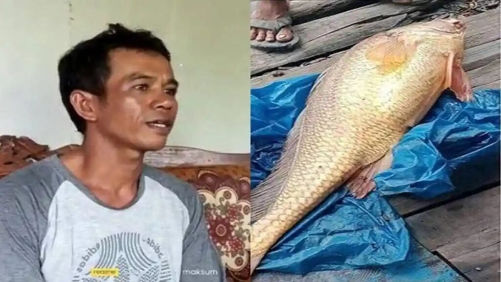 Nelayan di Sambas Mendadak Kaya Usai Tangkap Ikan Seharga 140 Juta