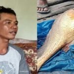 Berita terkait