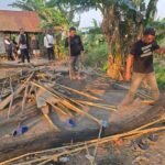 Berita terkait