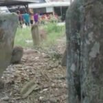 Berita terkait