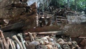 Di Enrekang Ada Kuburan Tua dengan Ratusan Tengkorak di Dalam Gua