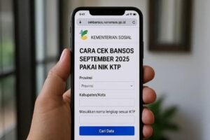 Desil DTSEN: Arti Desil 1-10, Cara Cek, dan Cara Memperbarui Data
