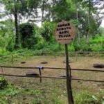 Berita terkait