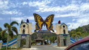 Bantimurung Dijuluki Kingdom of Butterflies, Apa yang Membuat Kawasan Ini Istimewa?