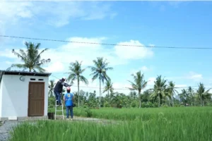 Panen Padi Sidrap Tembus 10,4 Ton per Hektare, 39 Sumur Bor Jadi Penopang Saat Kemarau