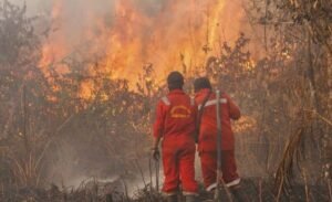 Status Darurat Karhutla Sidrap Berlaku hingga 1 November, Warga Diminta Waspada