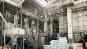 Produksi Beras Sidrap Tembus 326 Ribu Ton, Pasarnya Menjangkau Papua