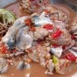 Berita terkait