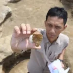 Berita terkait