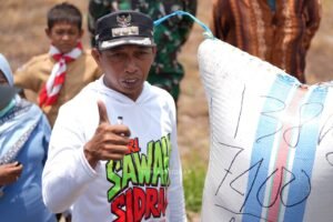 Sumur Bor Hadir, Sawah Tadah Hujan di Bapangi Tetap Produktif