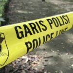 Berita terkait