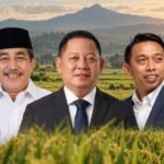 Berita terkait
