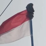 Berita terkait