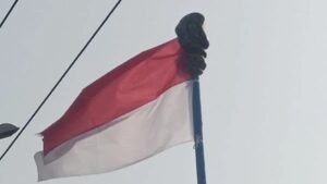 Sidrap Geger, Ular Piton Besar Melilit di Tiang Bendera