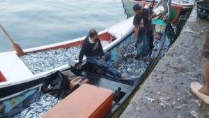 Nelayan Barru ‘Pesta Ikan’, Tak Nyangka Apartemen Ikan Andi Sudirman Berbuah Manis