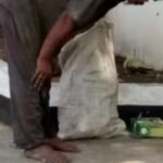 Berita terkait