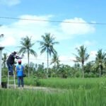 Berita terkait