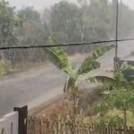 Berita terkait